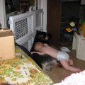 IMG_0002