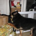 IMG_0006