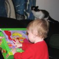 IMG_0431