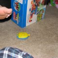 IMG_0442