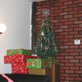 IMG_0381