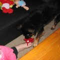 IMG_0390