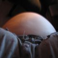 IMG_0348