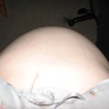 IMG_0353