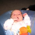 IMG_0583