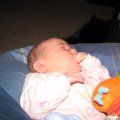 IMG_0586