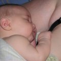 IMG_0679