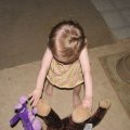 IMG_0815