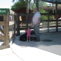 IMG_0931