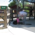 IMG_0932