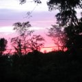 IMG_0950