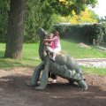 IMG_1111
