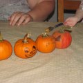 IMG_1224