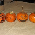 IMG_1225
