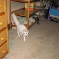 IMG_1257