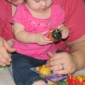 IMG_1741