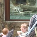 IMG_1932
