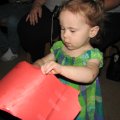IMG_2230