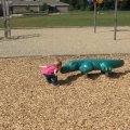 IMG_2316