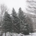 IMG_2656