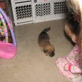IMG_3136