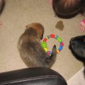 IMG_3137