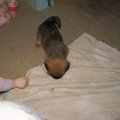 IMG_3139
