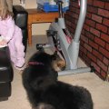 IMG_3145