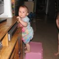 IMG_3557