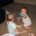 IMG_3633