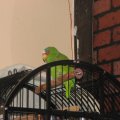 IMG_4076