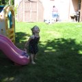 IMG_4305