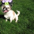 IMG_4324