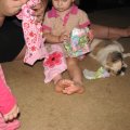 IMG_4425