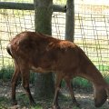 IMG_4462