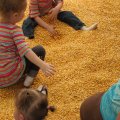 IMG_4480