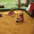 IMG_4485