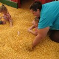 IMG_4486