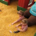 IMG_4492