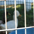 IMG_4514