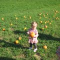 IMG_4551