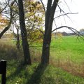 IMG_4556