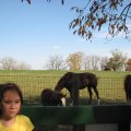 IMG_4558
