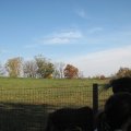 IMG_4561