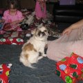 IMG_4708