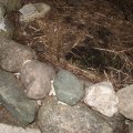 IMG_4919