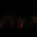 IMG_4923