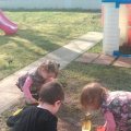 IMG_0529