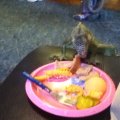 IMG_0618