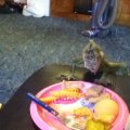 IMG_0619